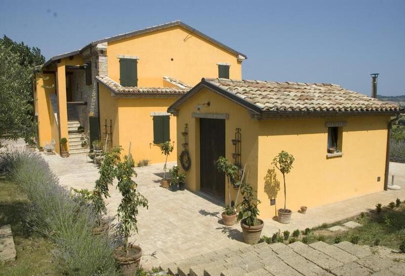 اتاق استاندارد, Country House Il Sassòne