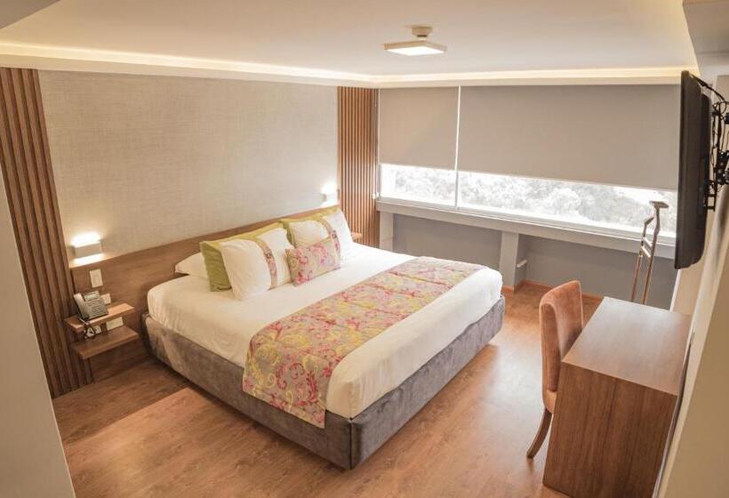 スタンダードルーム, Ambato