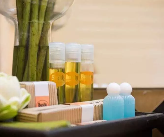 اتاق لوکس با تخت بزرگ, Buddy Lodge, Khaosan Road