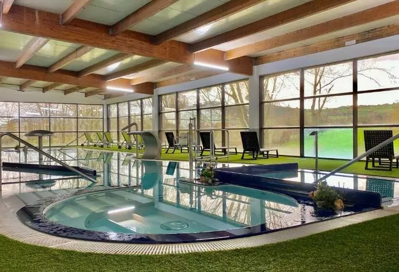 اتاق استاندارد با دسترسی به اسپا, Oca Palacio De La Llorea Hotel & Spa