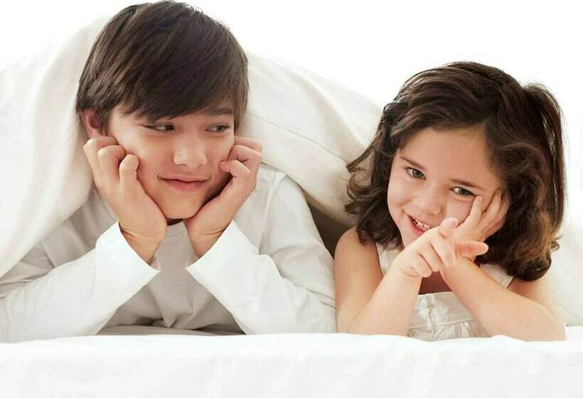 חדר אקזקיוטיב, Novotel Mechelen Centrum