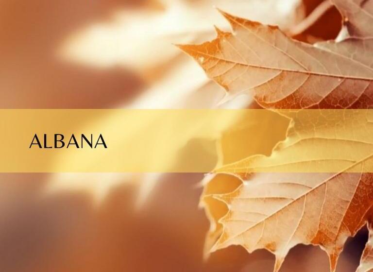 חדר סטנדרט, La Tagliolina