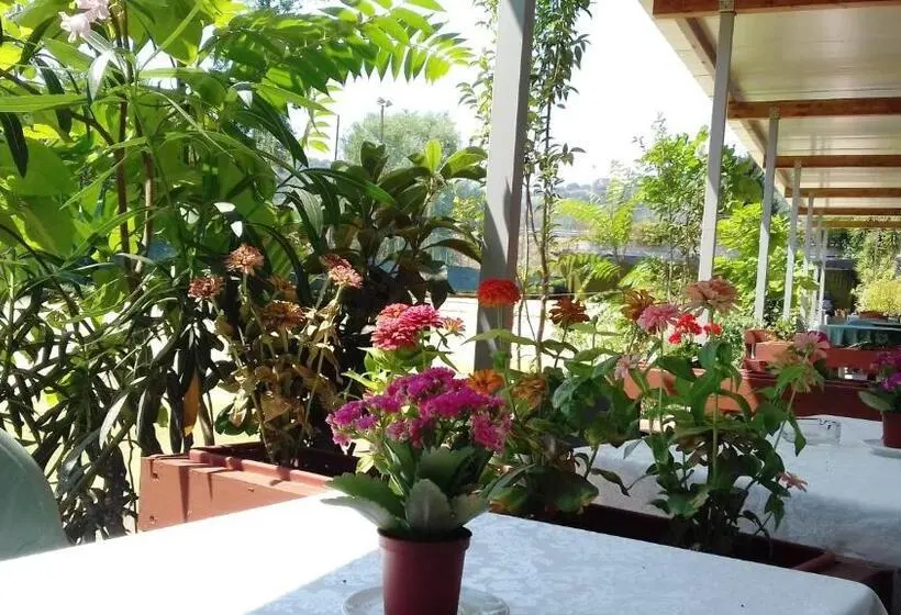 ジュニアスイート, A Casa Di Nené