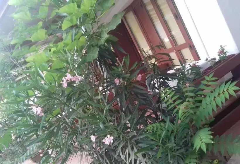 スタンダードルーム, A Casa Di Nené