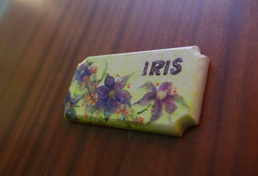 اتاق استاندارد با سرویس بهداشتی مشترک, B&b Attico