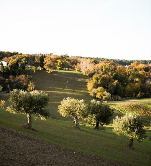 豪华园景房, Amor Di Lavanda