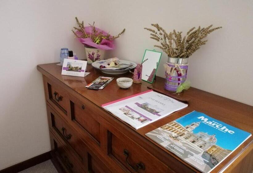 豪华园景房, Amor Di Lavanda