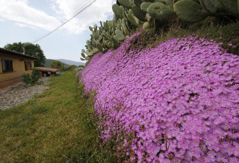 דירת חדר, Agriturismo Cupido