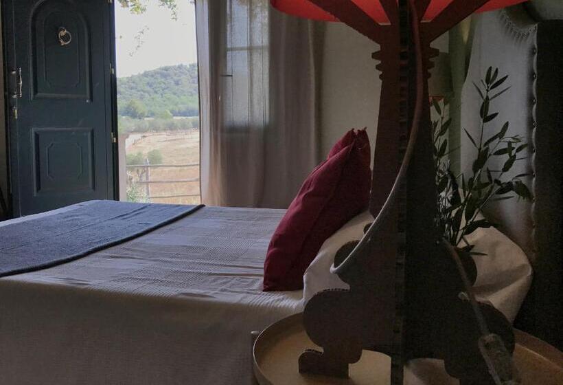 חדר דלוקס, Macchiabuia