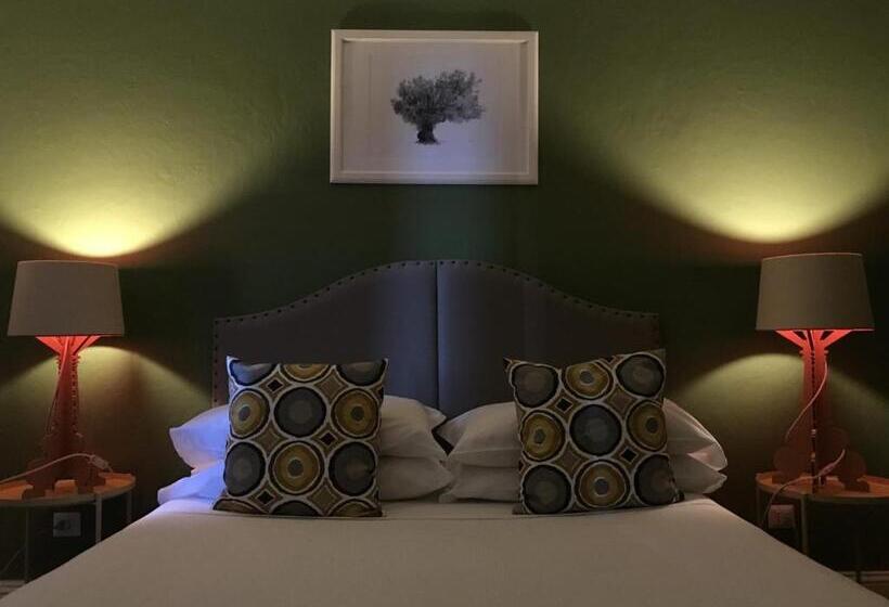 סוויטת ג'וניור, Macchiabuia