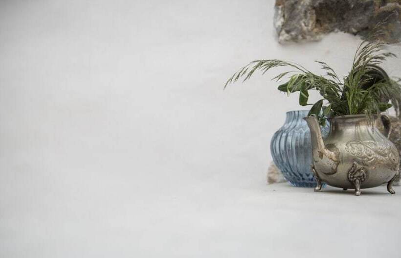 スタンダードルーム, Settegrana