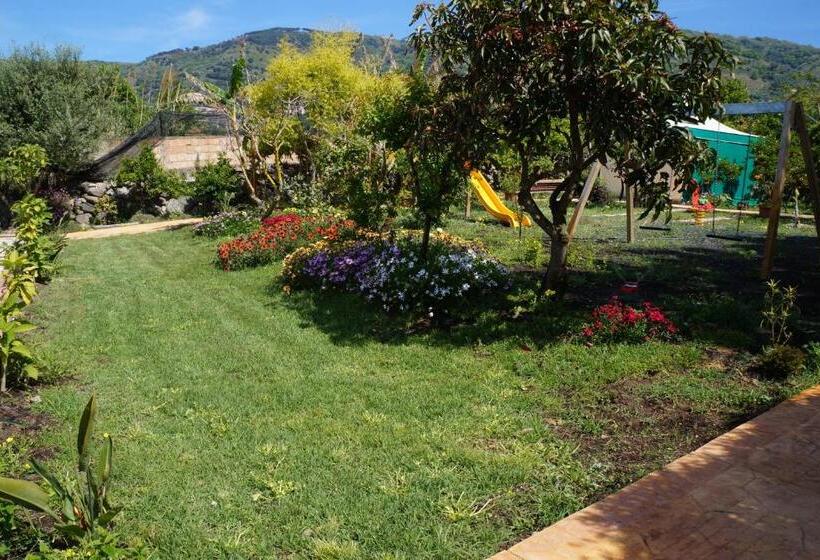 Номер Стандарт, Maremonti