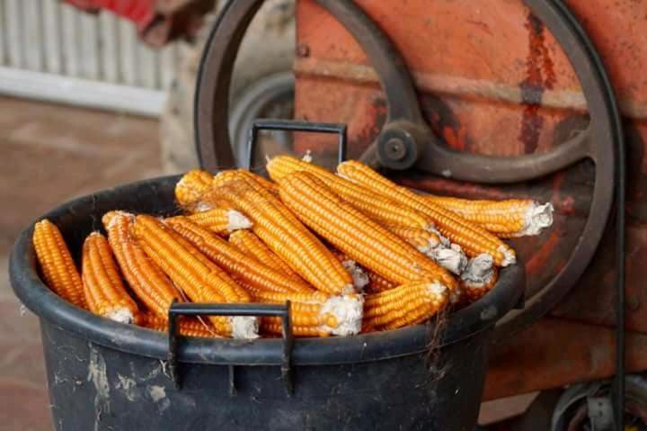 منزل 3 غرف نوم, Agriturismo Chioi