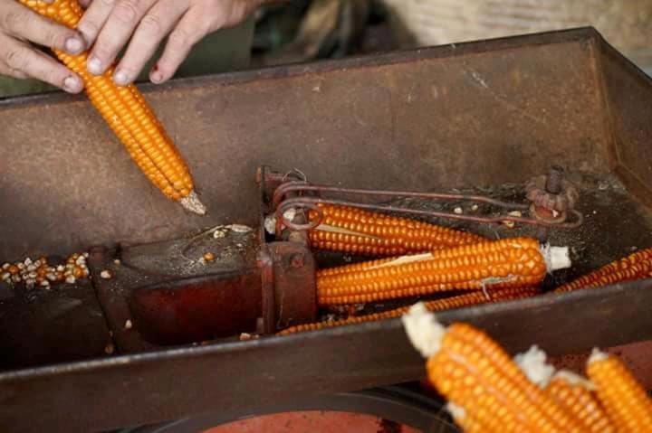 منزل غرفتين نوم, Agriturismo Chioi