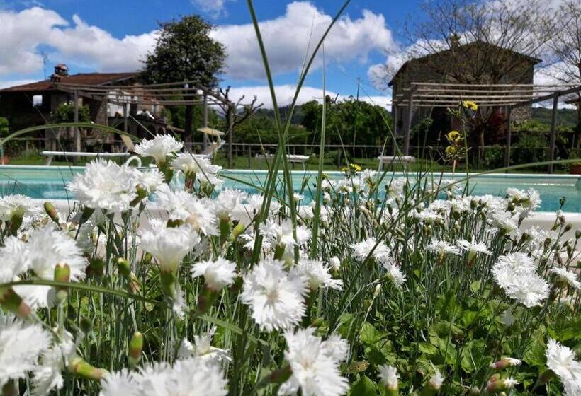 منزل غرفة نوم واحدة, Agriturismo Chioi