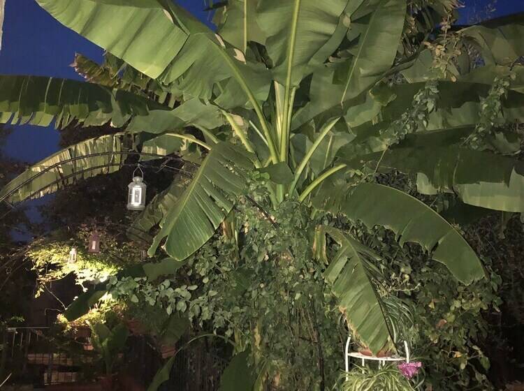 חדר סטנדרט, B&b San Giorgio