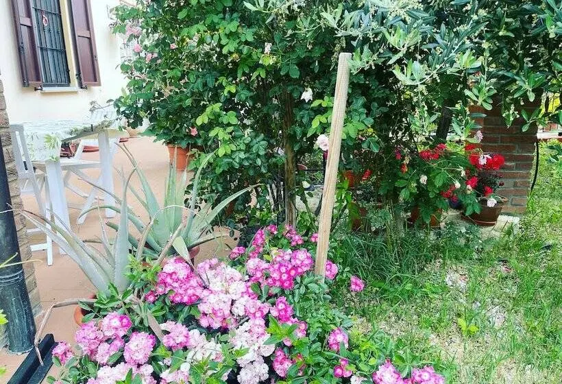スタンダードルーム, B&b San Giorgio