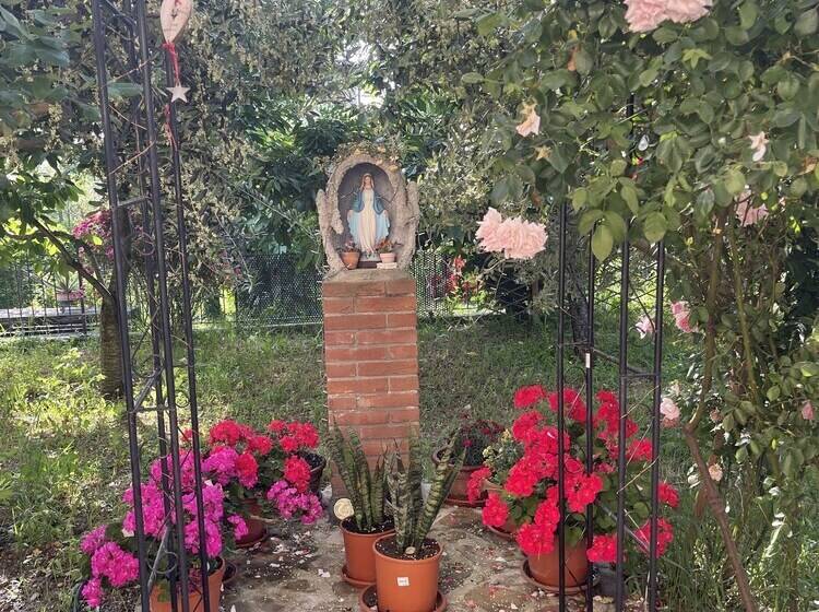 Номер Стандарт, B&b San Giorgio