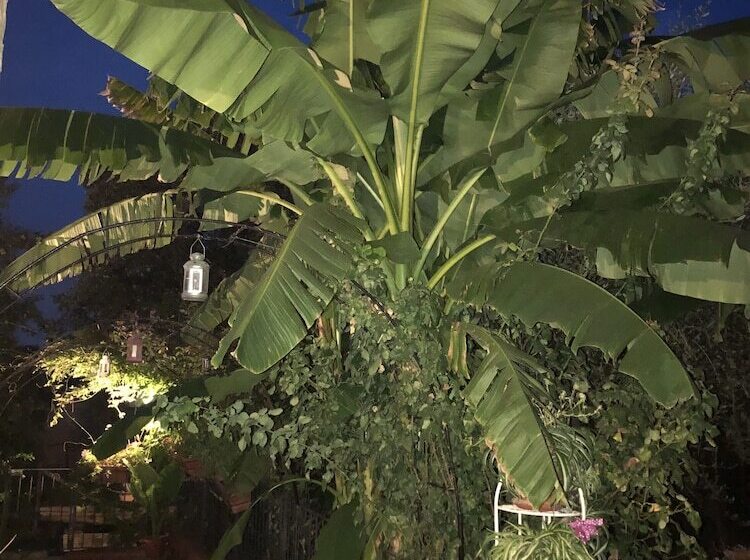 חדר סטנדרט, B&b San Giorgio