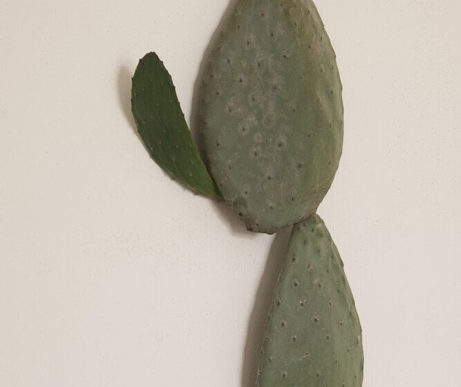 منزل غرفة نوم واحدة, Masseria San Francesco