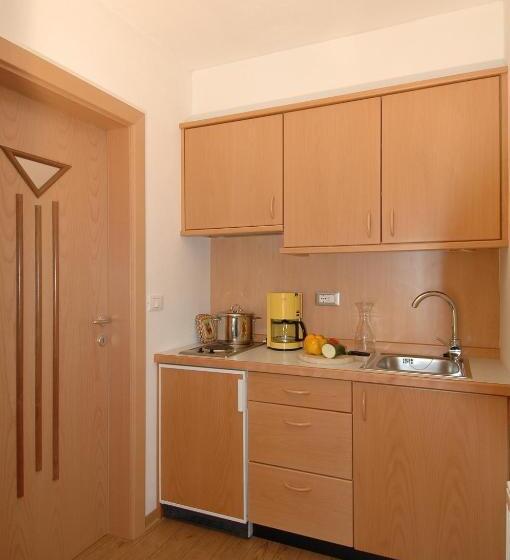 شقة غرفة واحدة مزودة بتراس, Appartements Schmied Hans