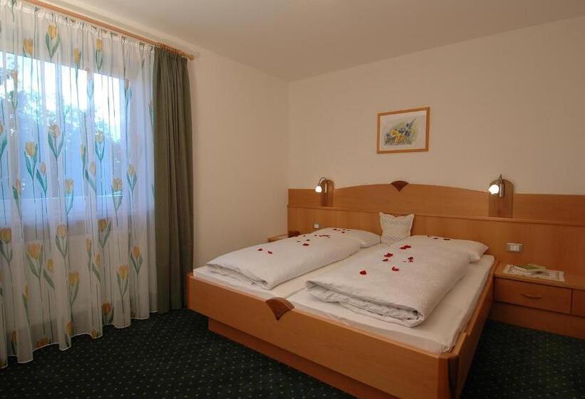 Апартаменты 1 Спальня с Террасой, Appartements Schmied Hans