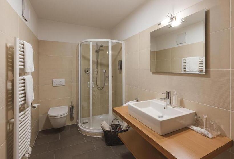 شقة غرفة نوم واحدة مزودة بشُرفة, Appartements Schmied Hans