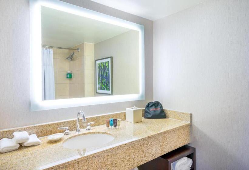 חדר סטנדרט עם מיטת קינג, Astor Crowne Plaza  Corner Of Bourbon Street