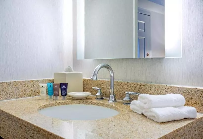 اتاق لوکس با تخت بزرگ, Astor Crowne Plaza  Corner Of Bourbon Street