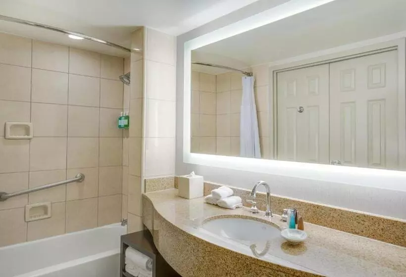 اتاق استاندارد با چشم‌انداز شهر, Astor Crowne Plaza  Corner Of Bourbon Street