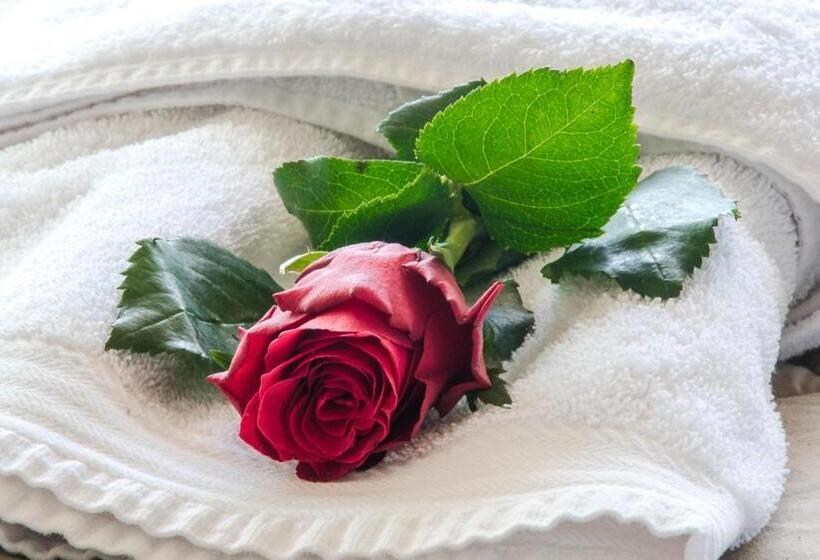 غرفة إقتصادية ثلاثية, Fedriades Delphi