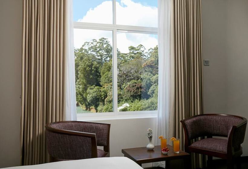 디럭스 룸 산전망, Galway Heights