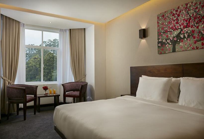 디럭스 룸 산전망, Galway Heights