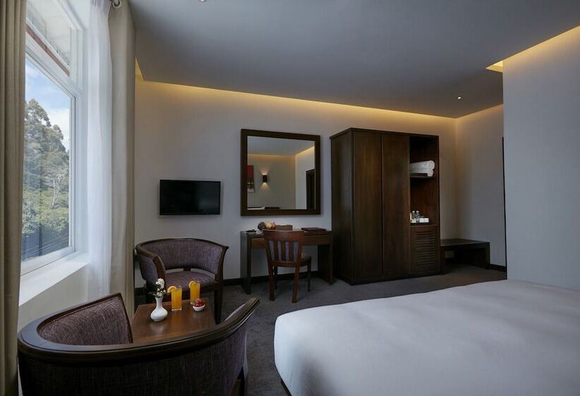 수피리어 룸, Galway Heights