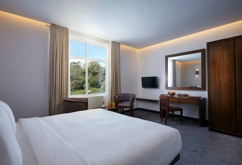 수피리어 룸, Galway Heights