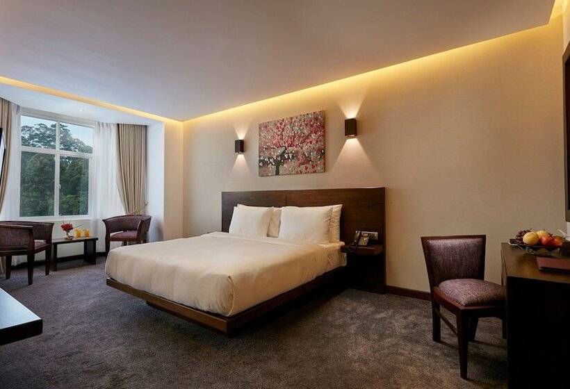 디럭스 룸 산전망, Galway Heights