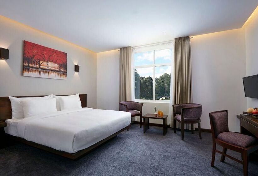 디럭스 룸 산전망, Galway Heights