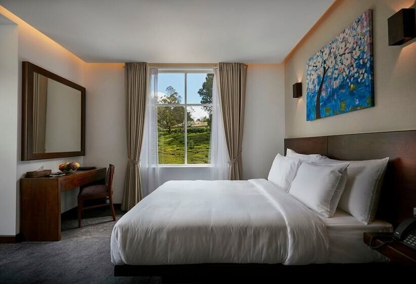 디럭스 룸 산전망, Galway Heights