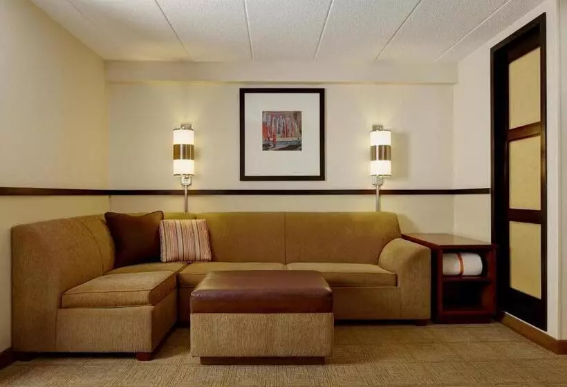 キングサイズベッドのスタンダードルーム, Hyatt Place Nashville Airport