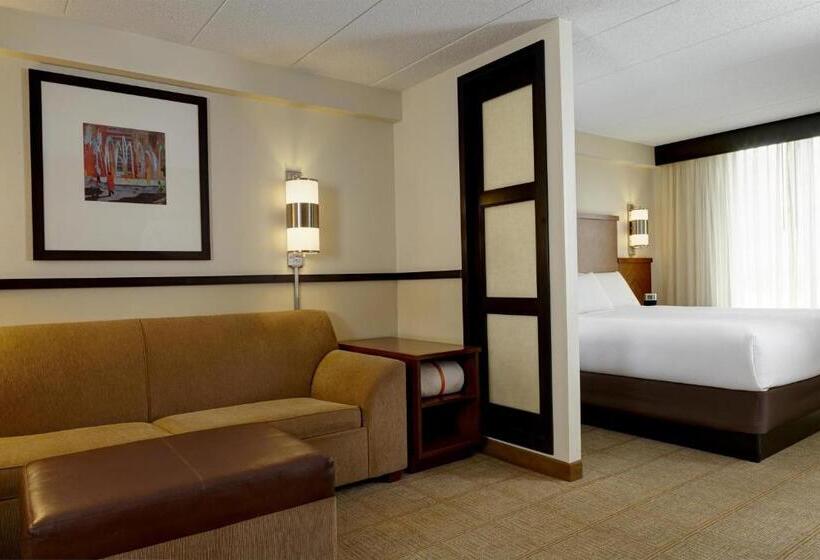 اتاق استاندارد با تخت بزرگ, Hyatt Place Nashville Airport