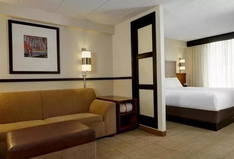 キングサイズベッドのスタンダードルーム, Hyatt Place Nashville Airport