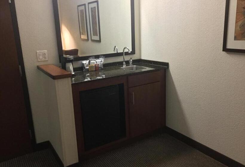 اتاق استاندارد با تخت بزرگ, Hyatt Place Nashville Airport