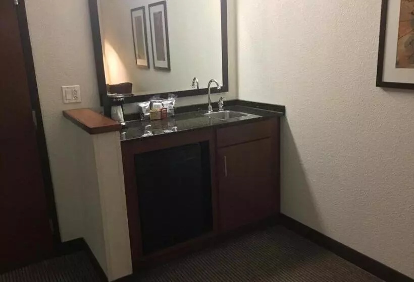 キングサイズベッドのスタンダードルーム, Hyatt Place Nashville Airport
