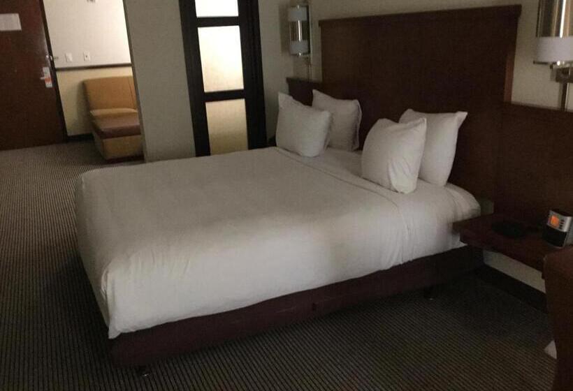 스탠다드 룸 킹사이즈 침대, Hyatt Place Nashville Airport
