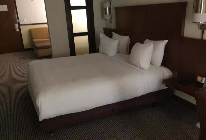 キングサイズベッドのスタンダードルーム, Hyatt Place Nashville Airport