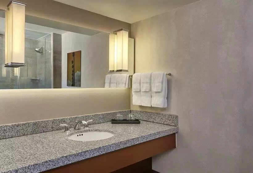 استودیو استاندارد با تخت کینگ, Loews Hollywood