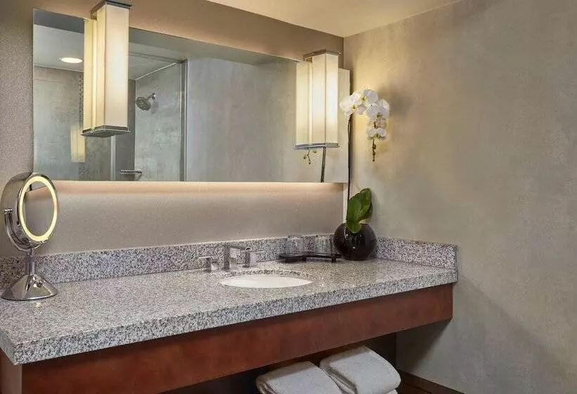 استودیو استاندارد با تخت کینگ, Loews Hollywood