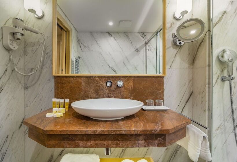 غرفة قياسية, Ana Hotels Bradul Poiana Brasov