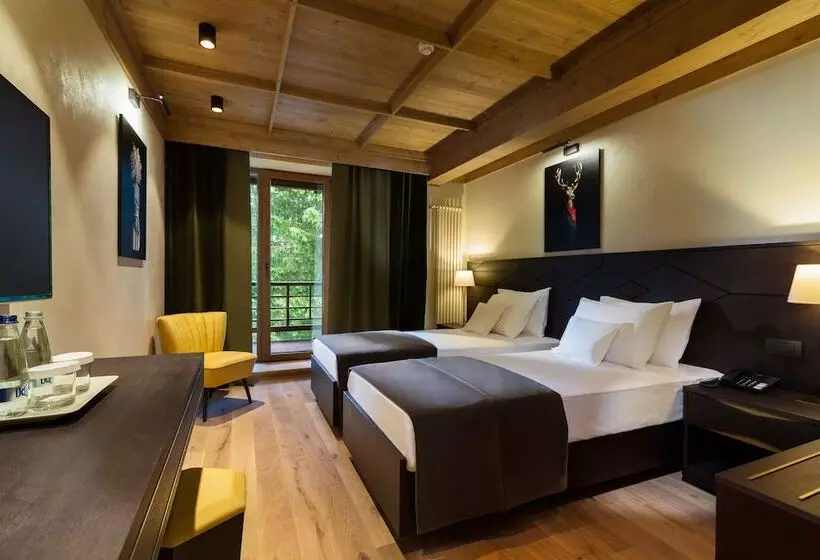اتاق استاندارد, Ana Hotels Bradul Poiana Brasov