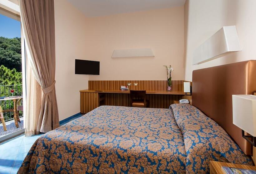 Номер Стандарт Вид на Море, Grand Hotel Due Golfi